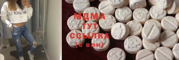 прущие грибы Верея