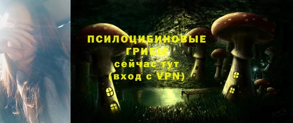 прущие грибы Верея