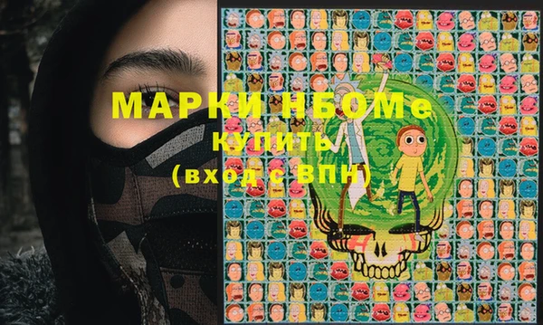 прущие грибы Верея