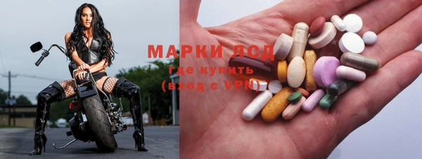 шишки Верхний Тагил
