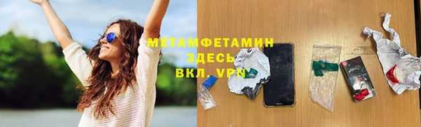 прущие грибы Верея