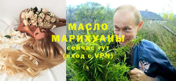 шишки Верхний Тагил