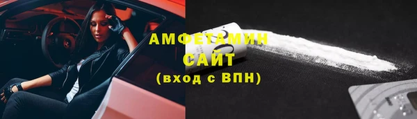 прущие грибы Верея