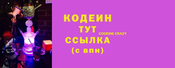 прущие грибы Верея