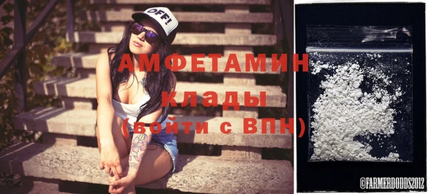 прущие грибы Верея
