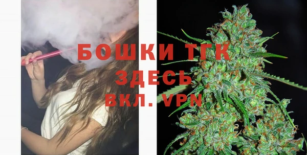 прущие грибы Верея