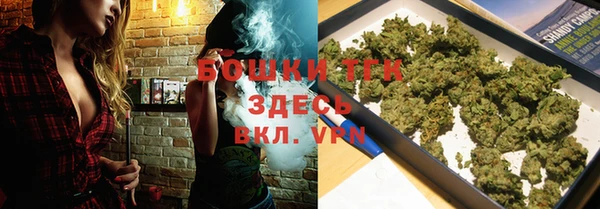 прущие грибы Верея