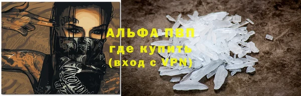 прущие грибы Верея