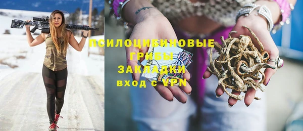шишки Верхний Тагил