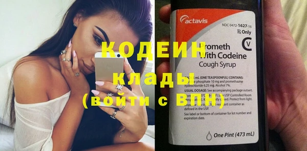 шишки Верхний Тагил
