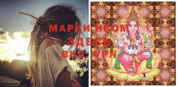 прущие грибы Верея