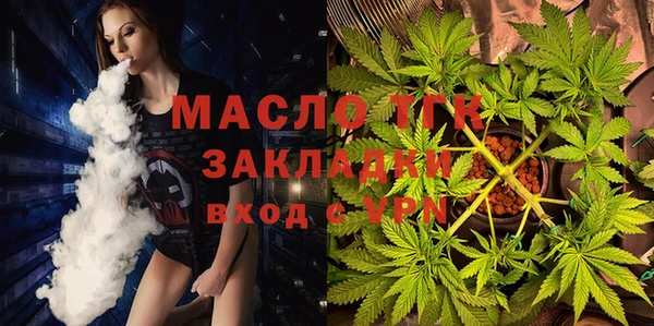 шишки Верхний Тагил