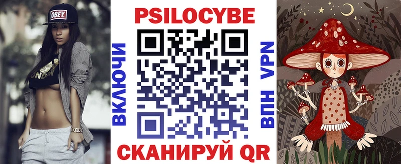 Галлюциногенные грибы Psilocybine cubensis  цены   Черноголовка 