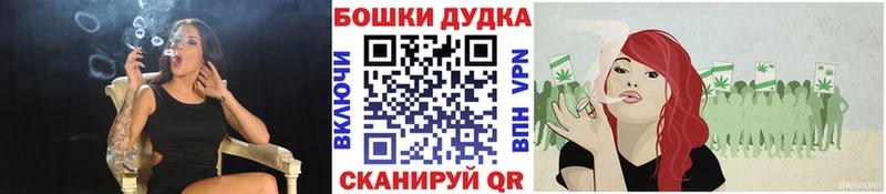 MEGA как войти  Черноголовка  Бошки марихуана тримм 